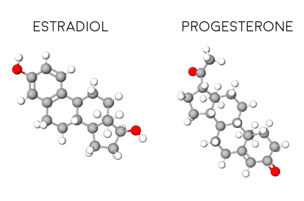 Estradiol and progesterone molecules